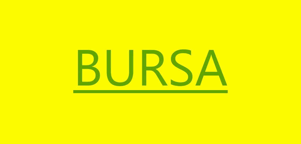 Why Bursa?