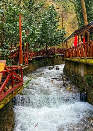 Sapanca Maşukiye